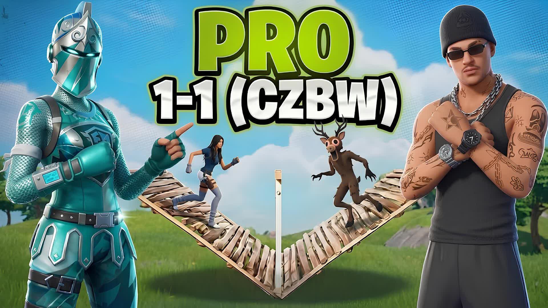 PRO 1-1