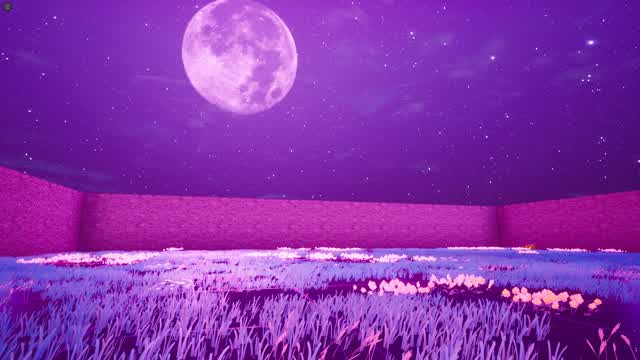 Space Boxfight Random Loadout