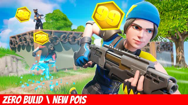 CUP ENDGAME DUO ZERO BUILD