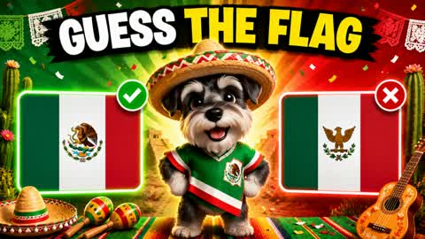 GUESS THE FLAG đ WORLD CUP đ