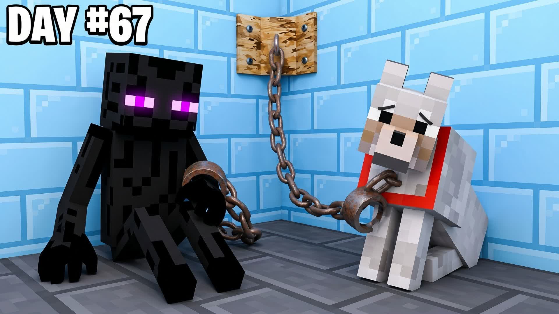 WOLF ESCAPE ROOM 33 LVL +