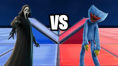 1v1 RED VS BLUE