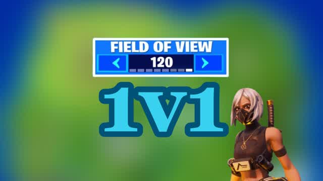 1v1