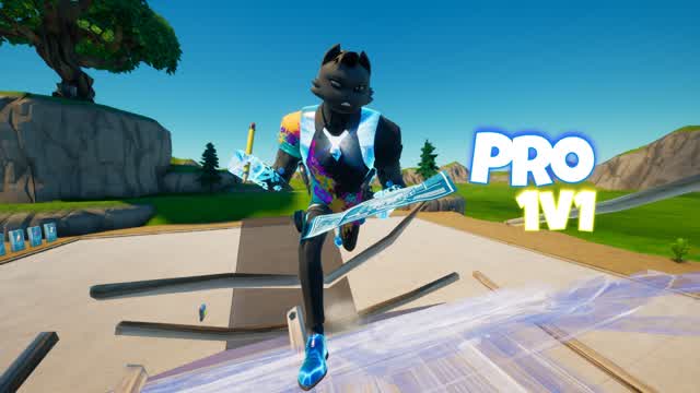 Pro 1v1