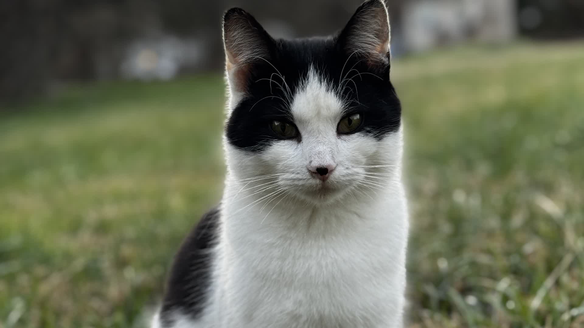 [📊] Replay Glow (Fortnite) | Game Database & Information - fortnite