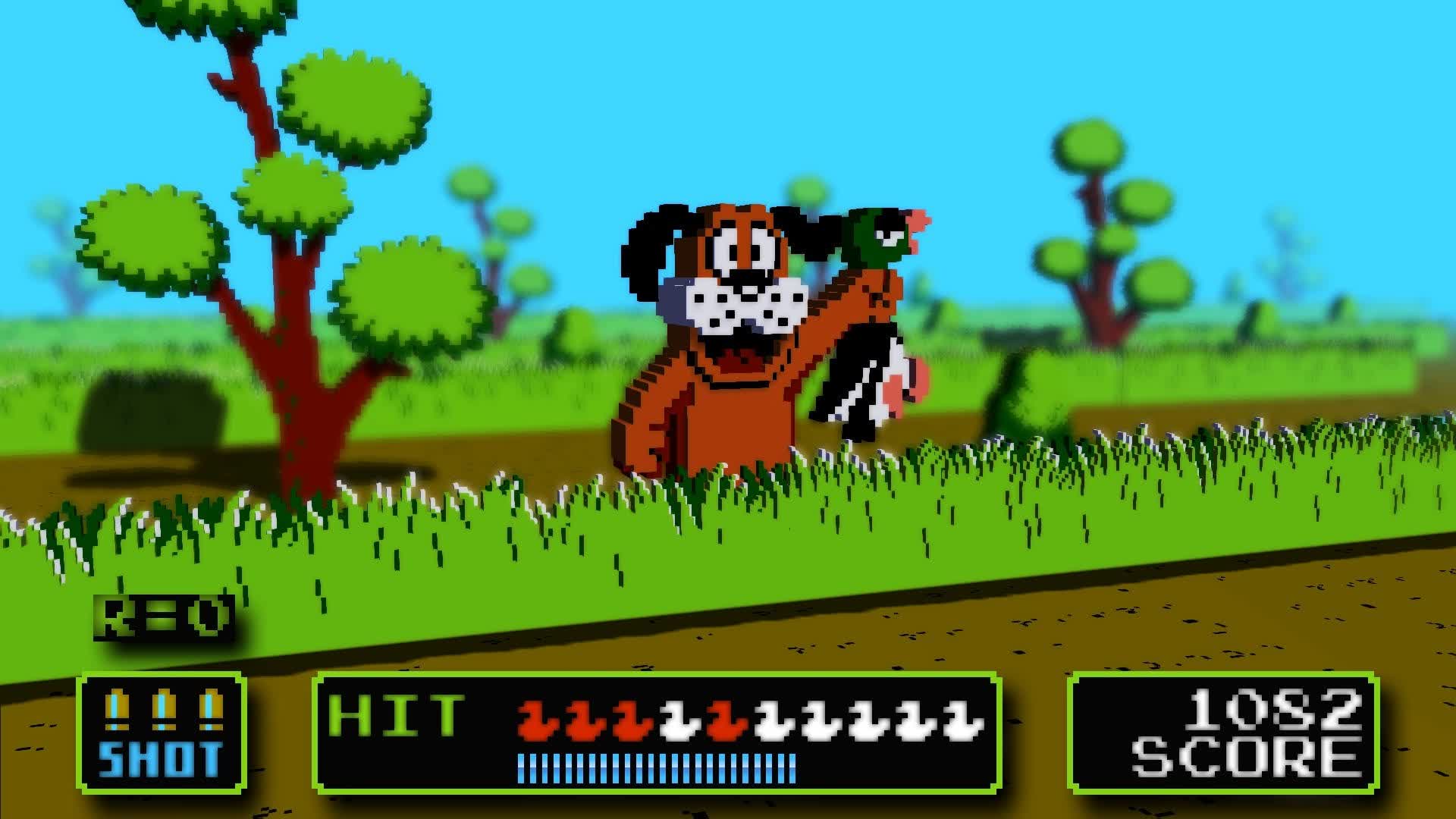 Duck Hunter🦆