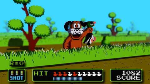 Duck Hunter 🦆