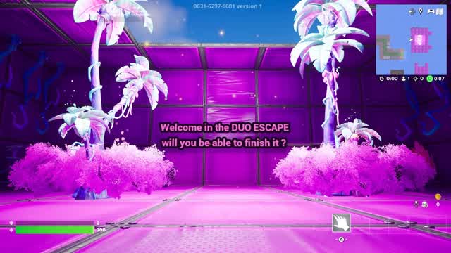 Capture 1 – DUO ESCAPE