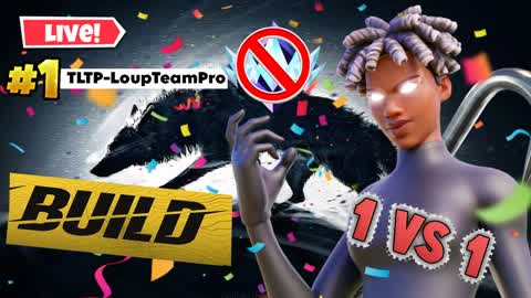 1V1 LoupTeamPro