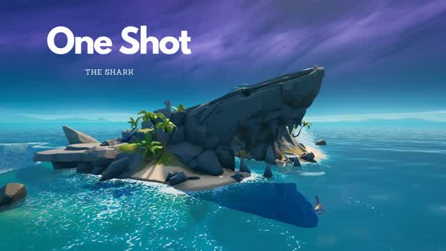 ONE SHOT