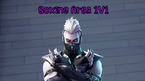 🥊Boxing Area 1v1