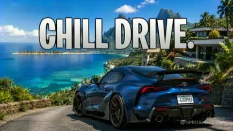 THE HERO DRIVING CARS 🌴🌴