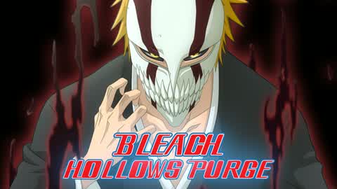 BLEACH HOLLOWS PURGE