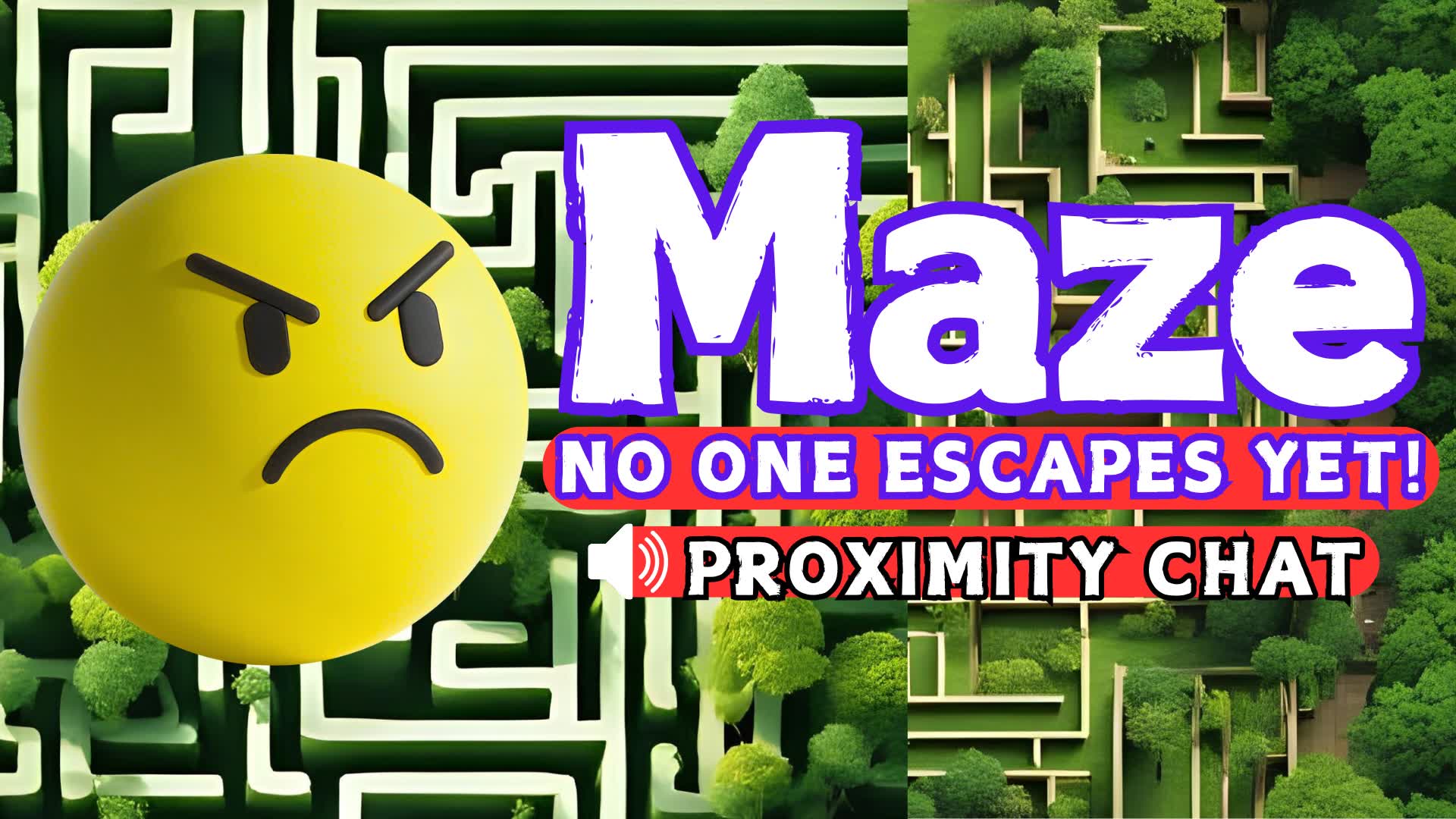 Maze