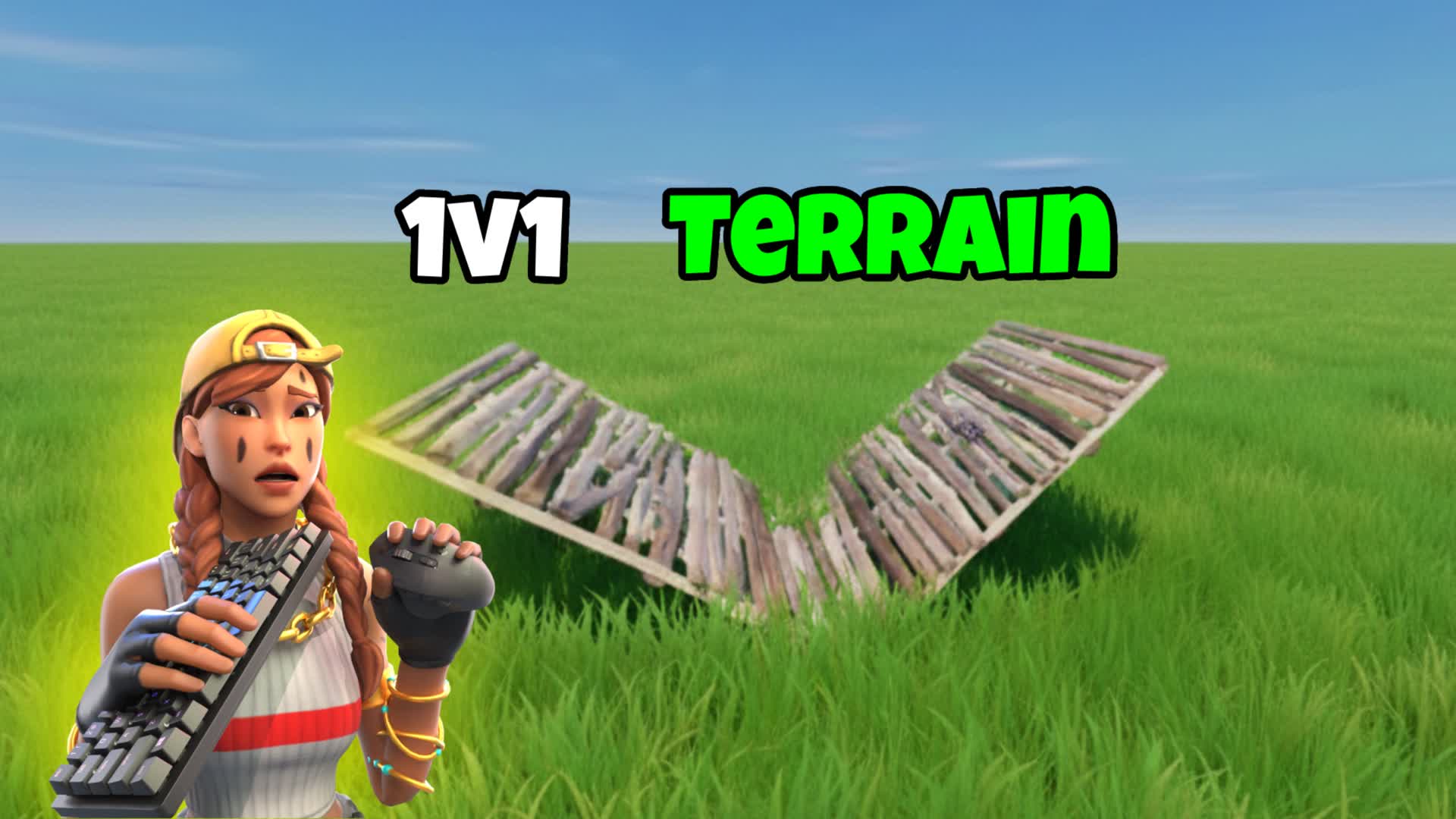 ROMAINPIXEL 1V1 BLUID FIGHTS​📝​