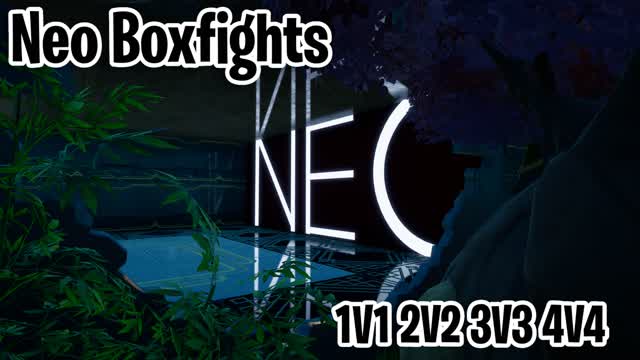 Neo Team BoxFights
