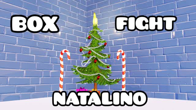 BOX FIGHT DE NATAL