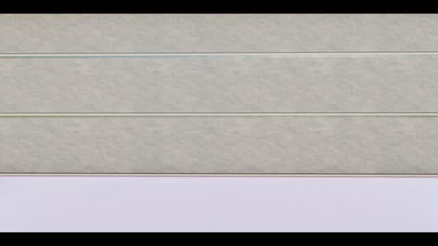 2v2 ONESHOT!