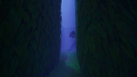 Island image