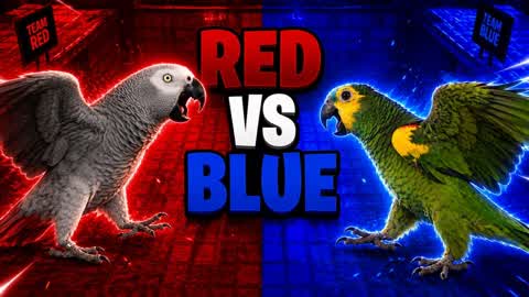 RED VS BLUE AFRICAN GREY VS AMAZON 🔴🔵