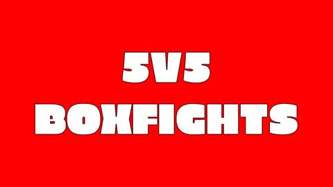 5V5 BOXFIGHTS