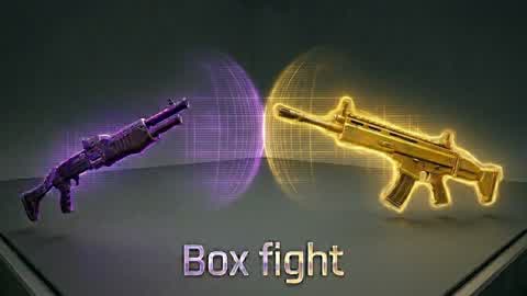 (.Box.s Fight)