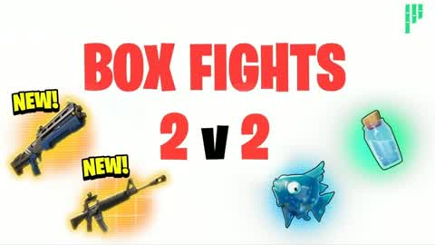 Boxfights 2 vs 2