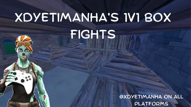 XDYETIMANHA's 1v1 BOX FIGHTS