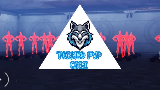 TORNEO PVP COBI