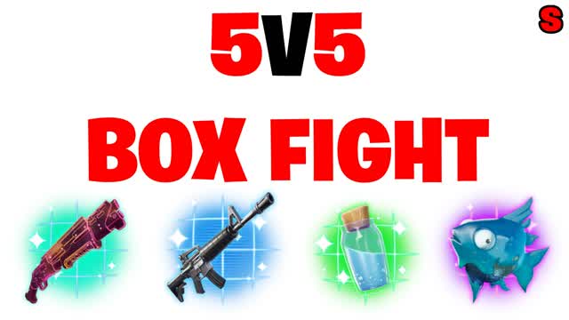 5V5 BOX FIGHTED