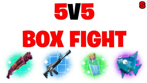 5V5 BOX FIGHTED