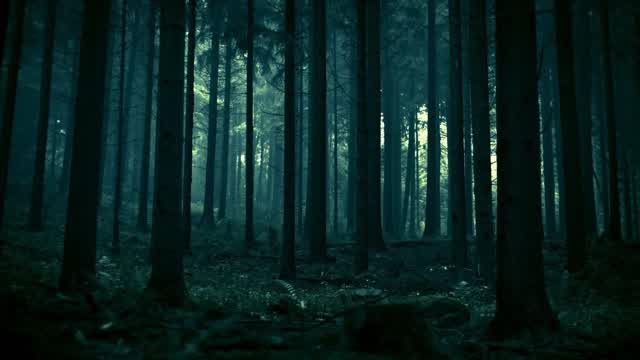 The Forest Witch Returns - HORROR