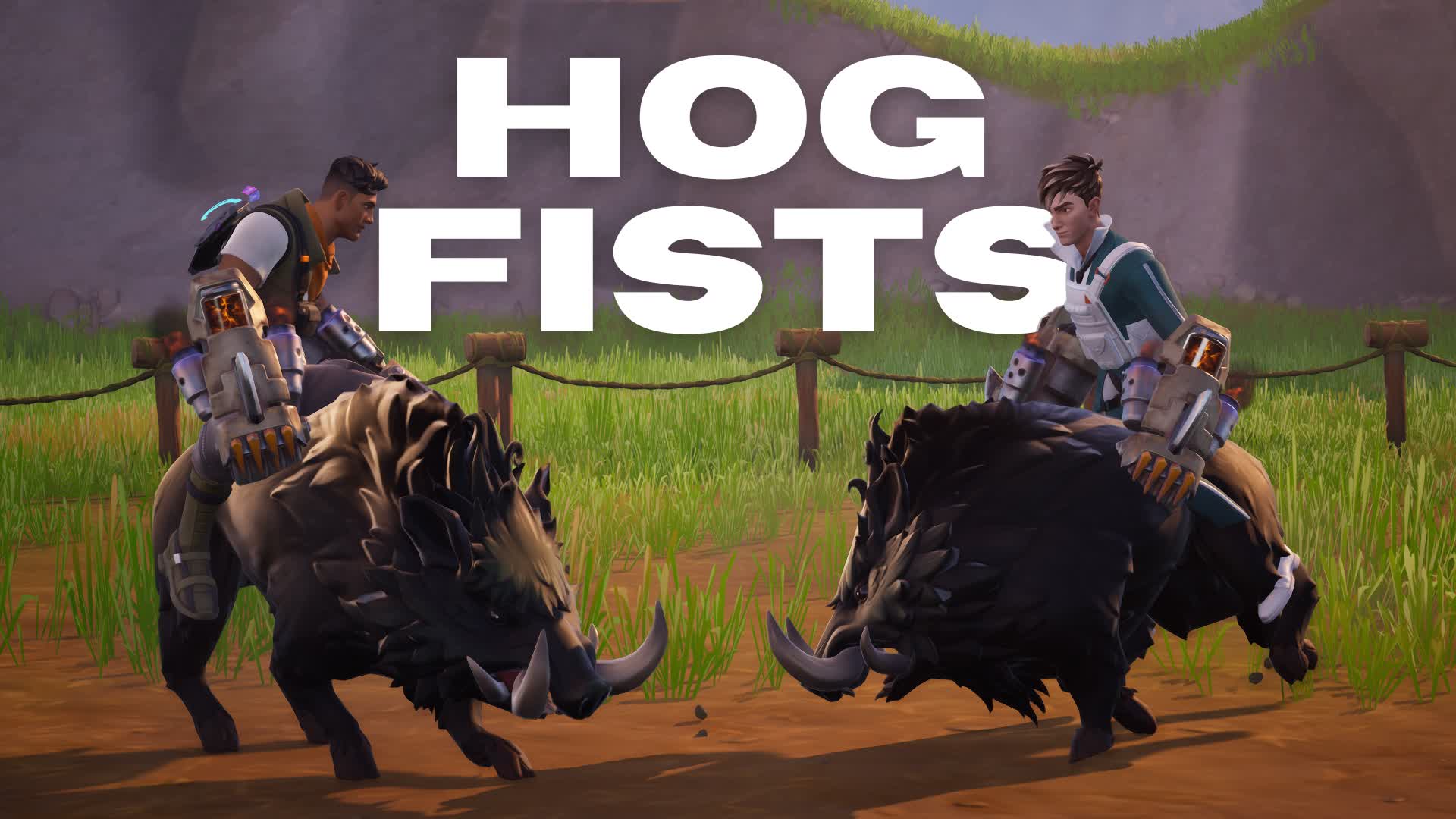 Hog fists fight