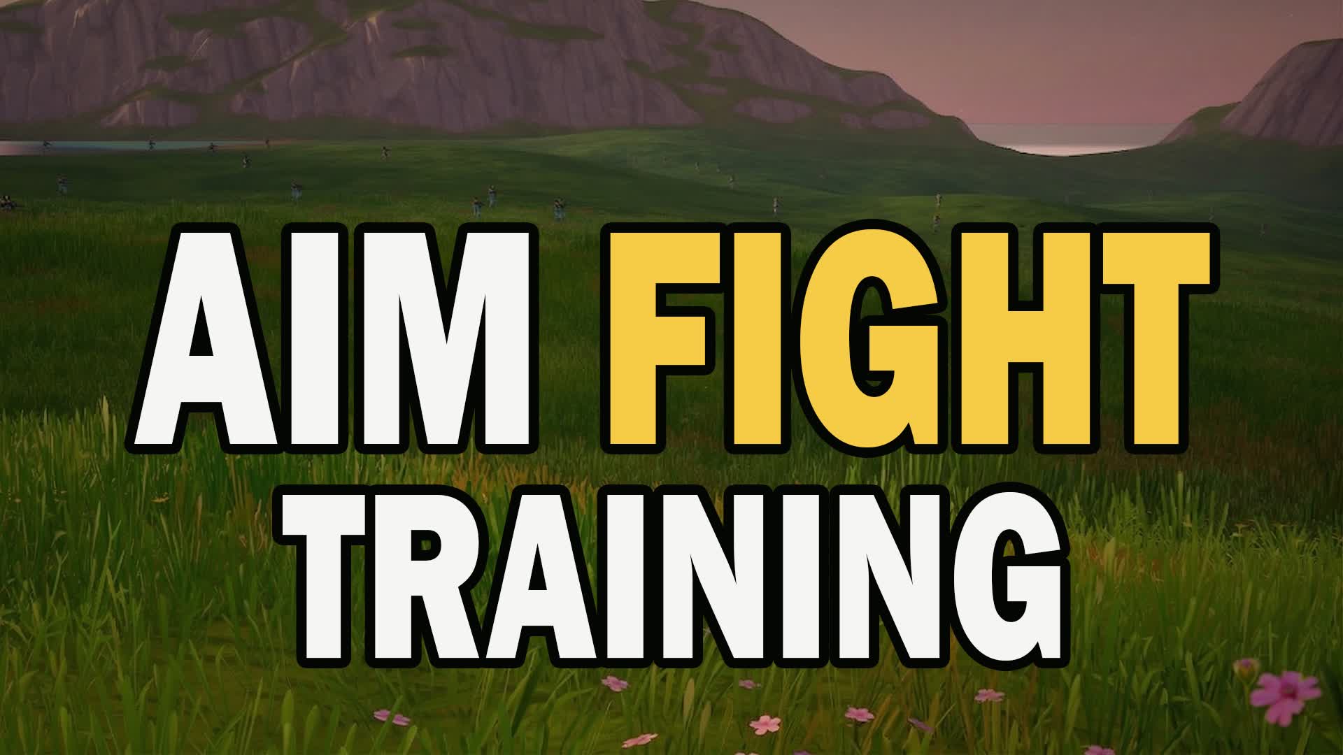 アマズエイムファイトトレーニング