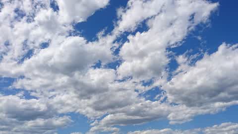 One Shot Gun Game FIXED