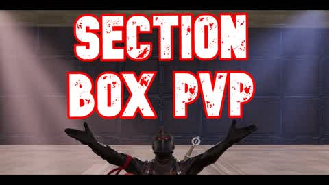 SECTION BOX PVP