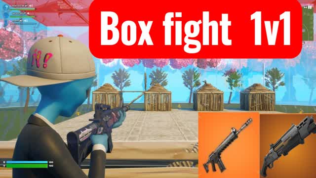Box fight DS