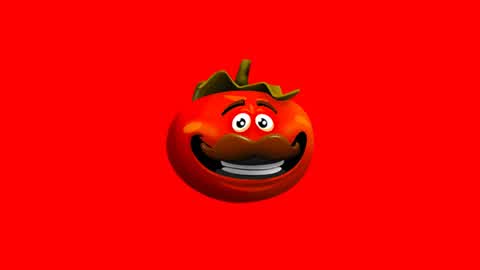 Tomato