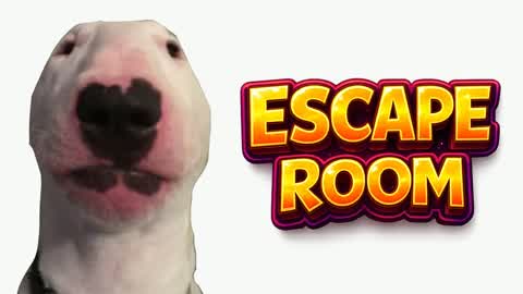 50 MAX IQ ESCAPE ROOM💡