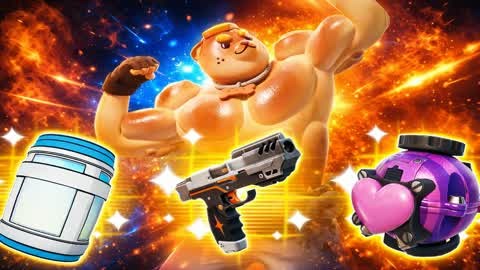 EVERUS RED VS BLUE hIC