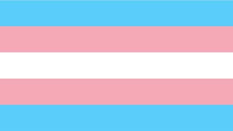 Transgender flag art