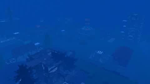 Foggy Hide & Seek