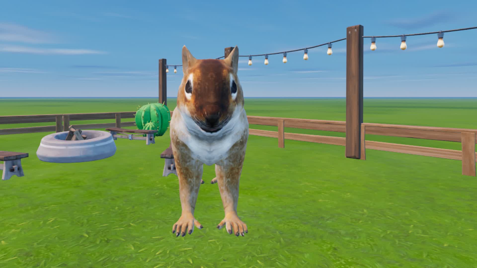 MEET SQUIRREL