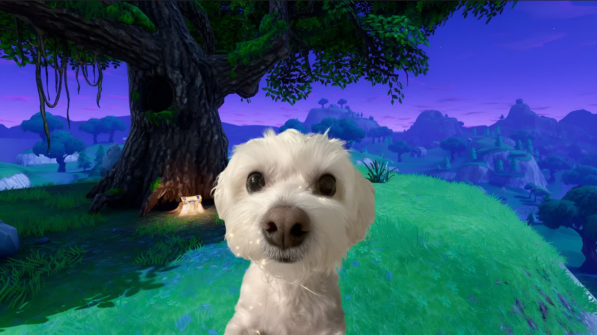 Fps Testing TimClinton