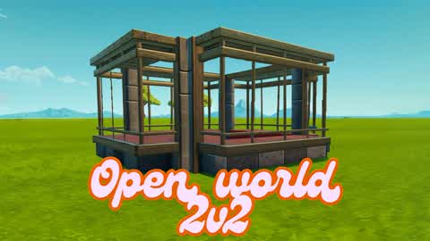 Open world 2v2