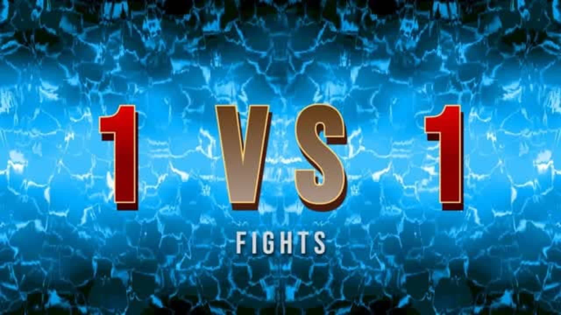 1 VS 1  fights