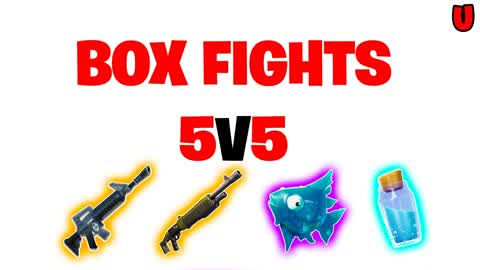 5V5 BOX FIGHTS
