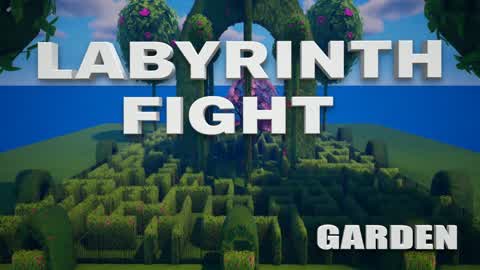 LABYRINTH FIGHT