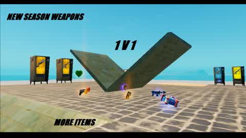 1V1