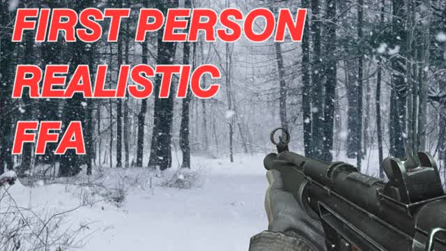 BALLISTIC FFA (FIRST PERSON)